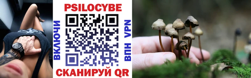 купить Асино Галлюциногенные грибы Magic Shrooms
